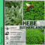 Sutherlandii