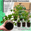 Tomato Totem