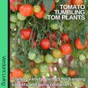 Tumbling Tom Variety Plants (Set of 3 or 6)