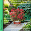 Geranium Pelgardini Vancouver Centennial
