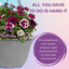 Hanging Basket - Berry Swirl