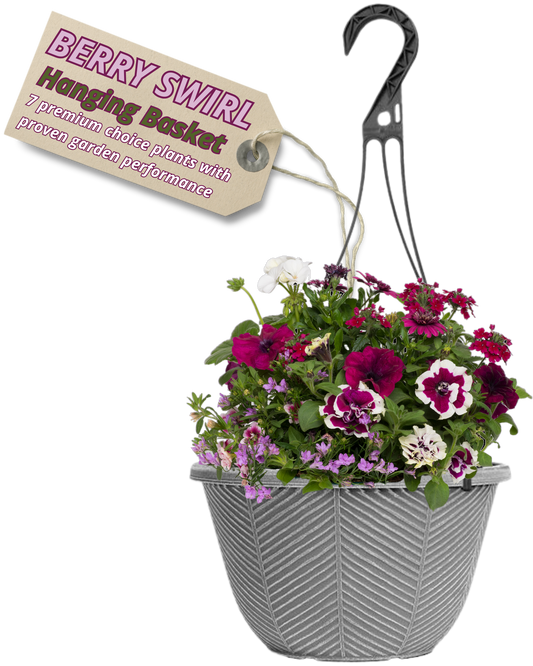Grey hanging basket of magenta and burgundy petunias, white-edged calibrachoa and lilac trailing flowers