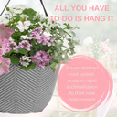Hanging Basket - Bridal Boutique