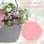 Hanging Basket - Bridal Boutique