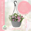 Hanging Basket - Bridal Boutique