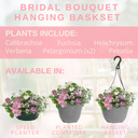 Hanging Basket - Bridal Boutique