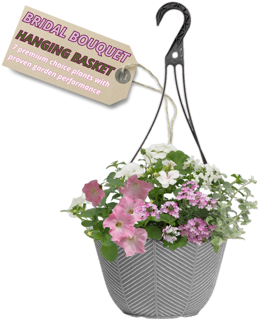 Grey hanging basket planted with soft pink petunias, white blooms and pale lilac verbena