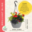 Hanging Basket - Brilliant Bling