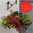 Hanging Basket - Brilliant Bling