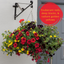 Hanging Basket - Brilliant Bling