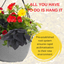 Hanging Basket - Brilliant Bling