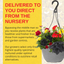 Hanging Basket - Brilliant Bling