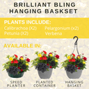Hanging Basket - Brilliant Bling