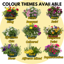 Hanging Basket - Brilliant Bling