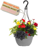 Hanging Basket - Brilliant Bling