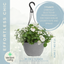 Hanging Basket - Effortless Chic