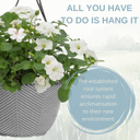 Hanging Basket - Effortless Chic