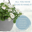 Hanging Basket - Effortless Chic