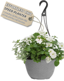 Hanging Basket - Effortless Chic