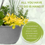 Hanging Basket - Herb Alfresco Mixed