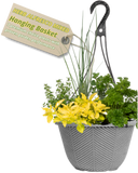 Hanging Basket - Herb Alfresco Mixed