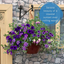 Hanging Basket - Sea Blues