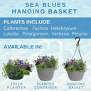 Hanging Basket - Sea Blues