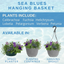 Hanging Basket - Sea Blues