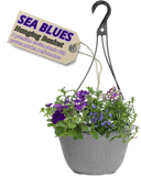 Hanging Basket - Sea Blues