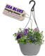Hanging Basket - Sea Blues