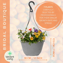 Hanging Basket - Tangerine Twist
