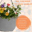 Hanging Basket - Tangerine Twist