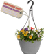 Hanging Basket - Tangerine Twist