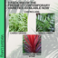 Contemporary Mix - Holly Fern, Grass (Carex Feathe Falls), Cordyline Red Star