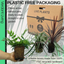 Contemporary Mix - Holly Fern, Grass (Carex Feathe Falls), Cordyline Red Star