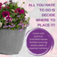 Planted Container - Berry Swirl
