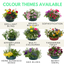 Planted Container - Berry Swirl