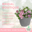 Planted Container - Bridal Boutique