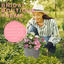 Planted Container - Bridal Boutique