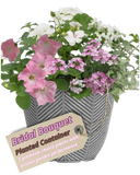 Planted Container - Bridal Boutique