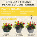 Planted Container - Brilliant Bling