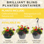 Planted Container - Brilliant Bling