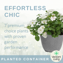 Planted Container - Effortless Chic