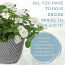 Planted Container - Effortless Chic