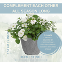 Planted Container - Effortless Chic