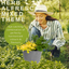 Planted Container - Herb Alfresco Mixed