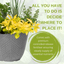 Planted Container - Herb Alfresco Mixed
