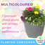 Planted Container - Multicolour