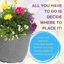Planted Container - Multicolour