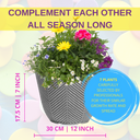 Planted Container - Multicolour